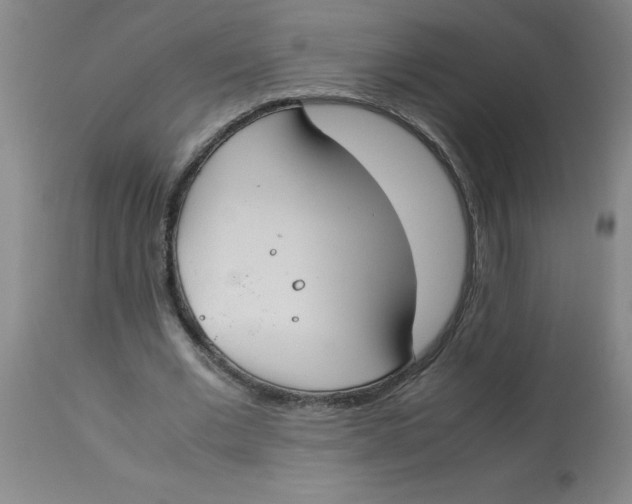 X0000112870677200909181825