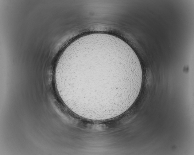 X0000112870683200909181825