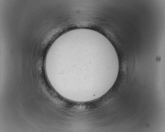 X0000112870687200909181825