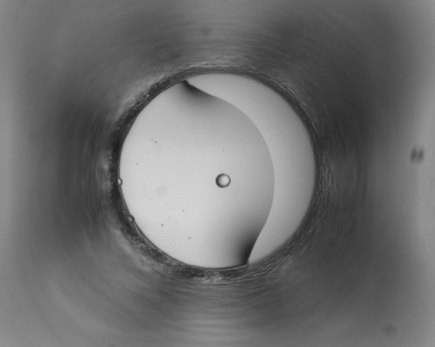 X0000112870688200909181825