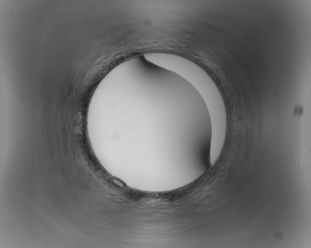 X0000112870689200909181824