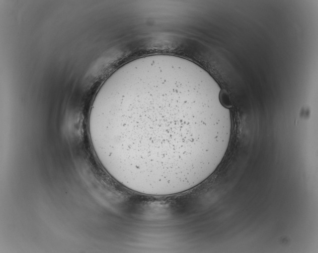 X0000112870692200909181824