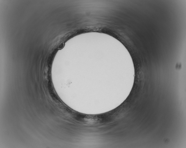 X0000112870693200909181824