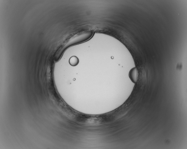 X0000112870700200909181824