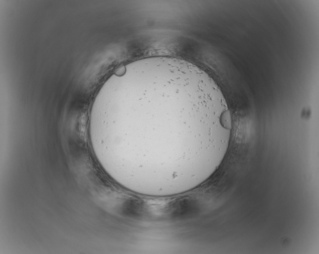 X0000112870701200909181824