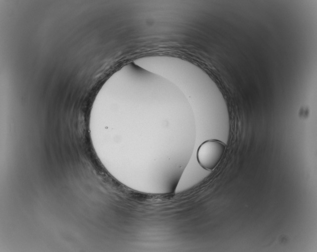 X0000112870704200909181824