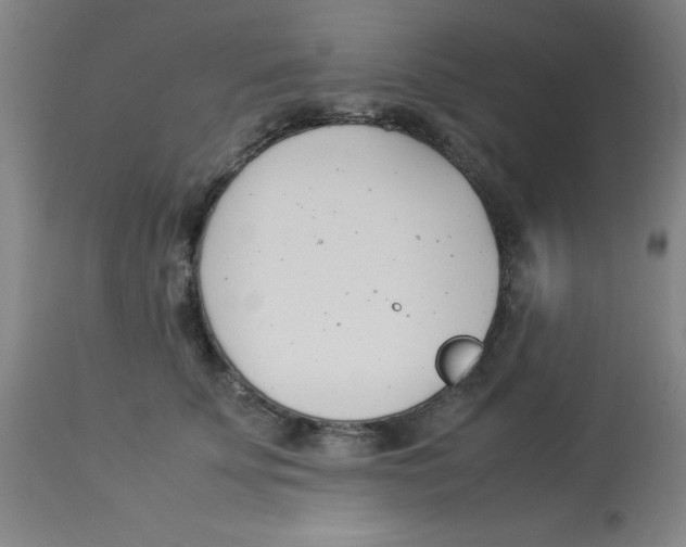 X0000112870707200909181824