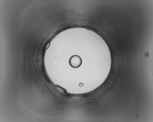 X0000112870708200909181824