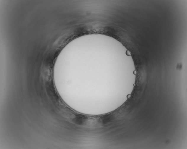 X0000112870709200909181824