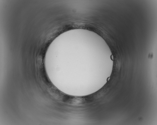 X0000112870711200909181824