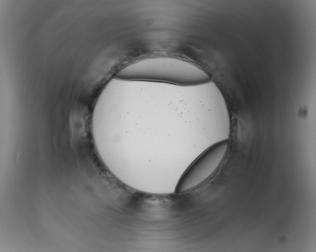 X0000112870712200909181824