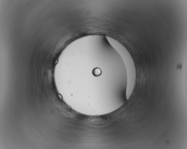 X0000112870716200909181824