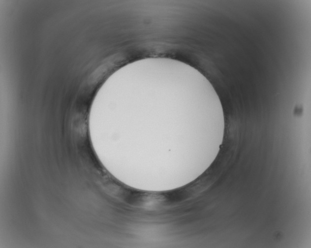 X0000112870719200909181824