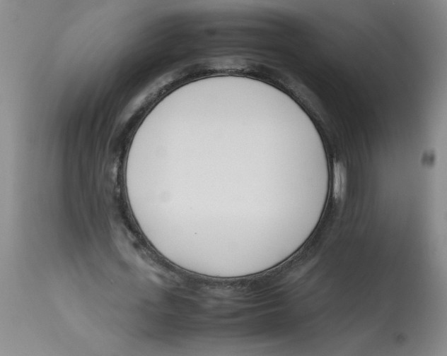 X0000112870723200909181823