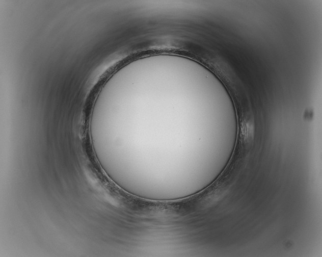 X0000112870724200909181823