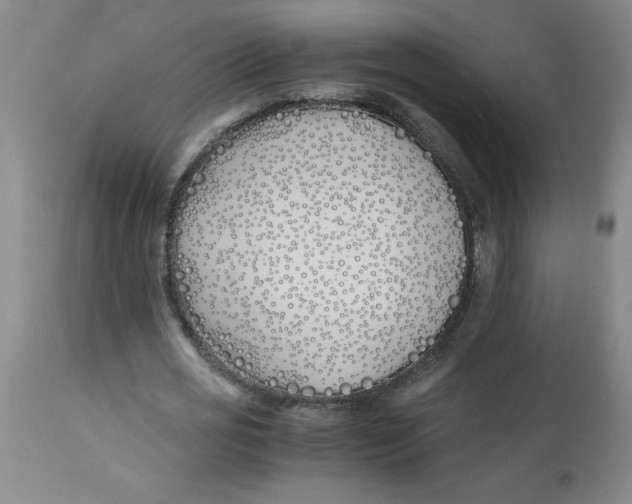 X0000112870725200909181823