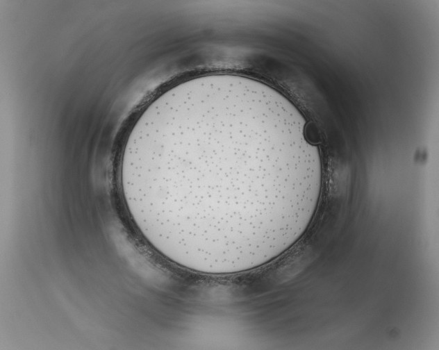 X0000112870726200909181823