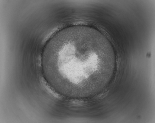 X0000112870729200909181823