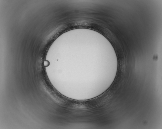 X0000112870735200909181823