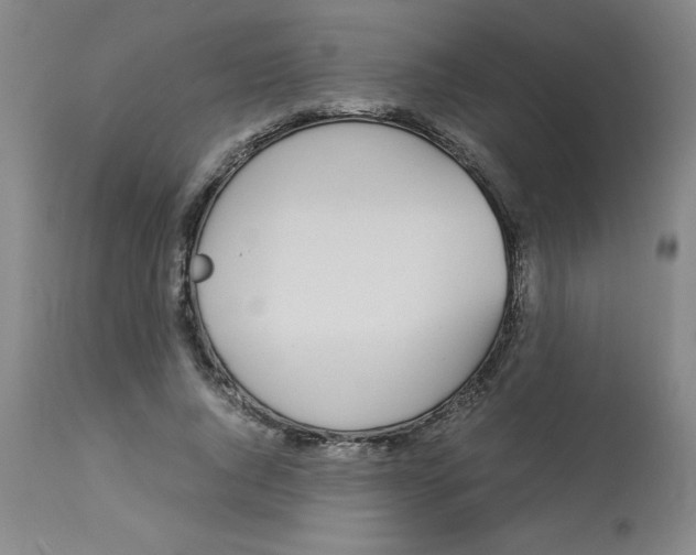 X0000112870736200909181823