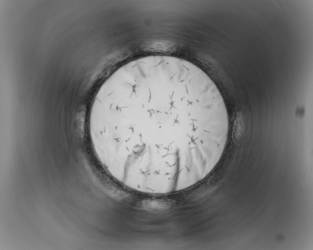 X0000112870739200909181823