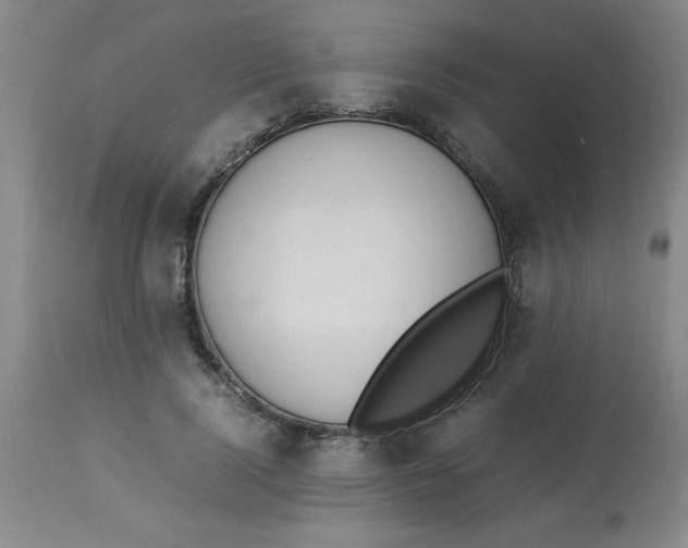 X0000112870740200909181823