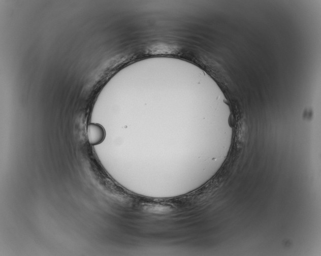 X0000112870743200909181824