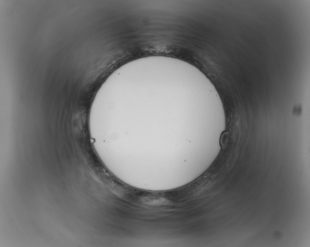 X0000112870747200909181824