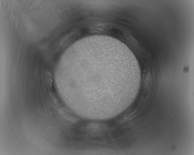 X0000112870749200909181824