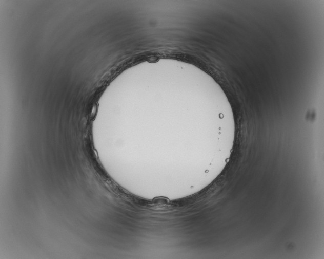 X0000112870750200909181824