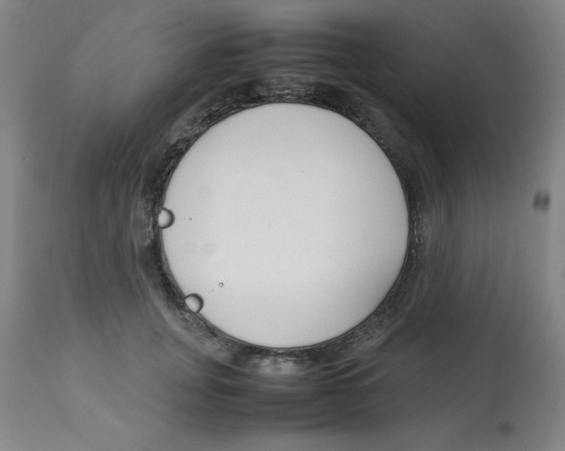 X0000112870751200909181824