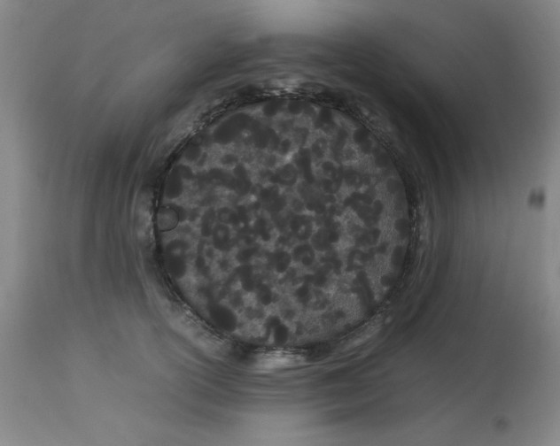 X0000112870754200909181824