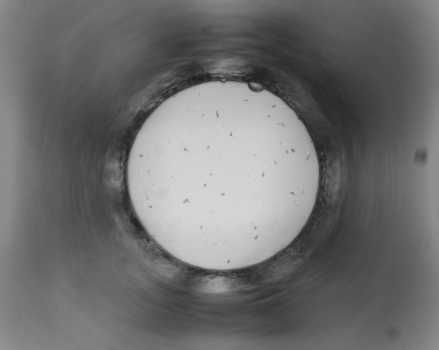X0000112870755200909181824