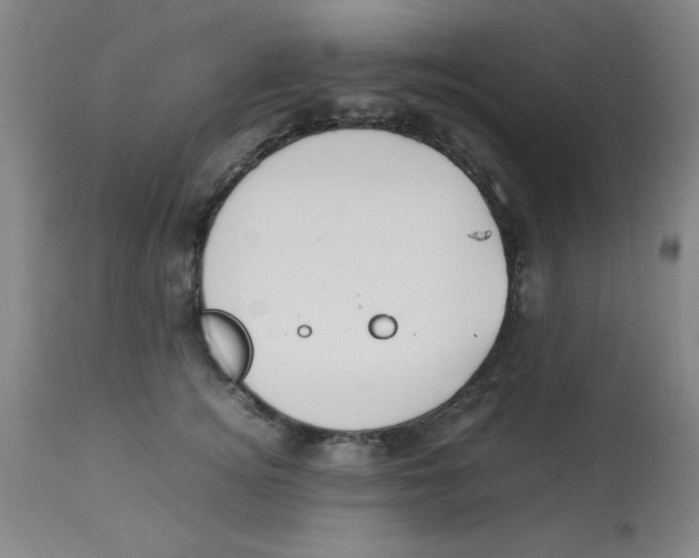 X0000112870756200909181824