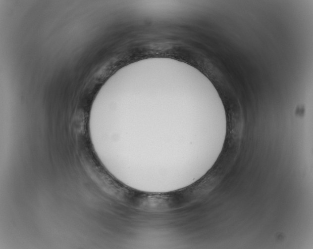 X0000112870758200909181824