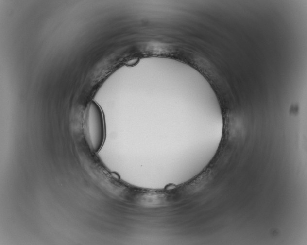 X0000112870760200909181824