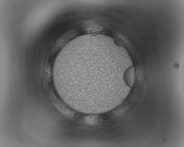 X0000112870761200909181824