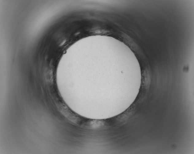 X0000112870762200909181824