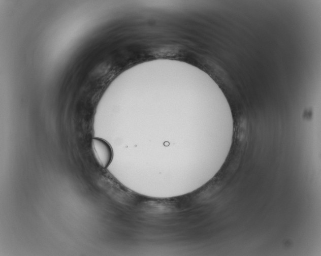 X0000112870763200909181824