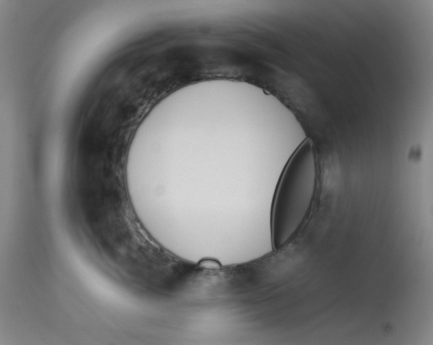 X0000112870764200909181824