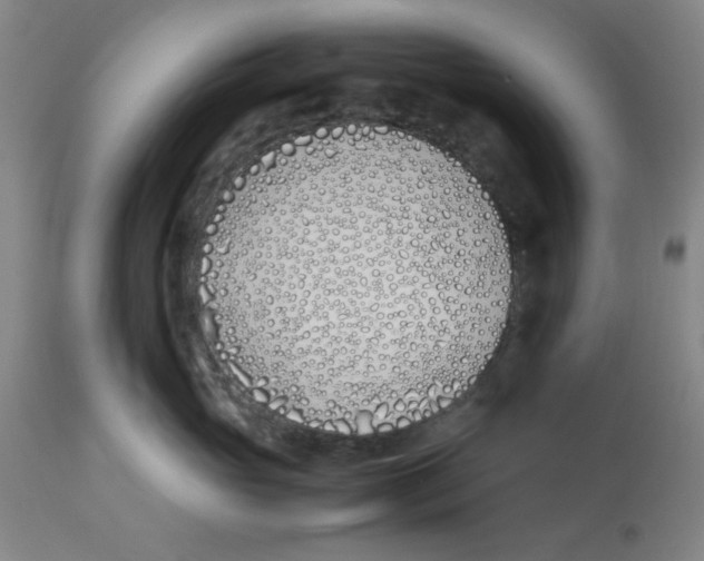 X0000112870765200909181824