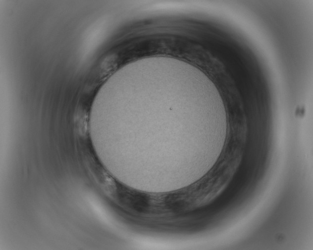 X0000112870766200909181824