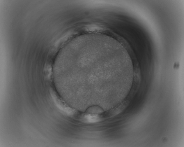 X0000112870767200909181824