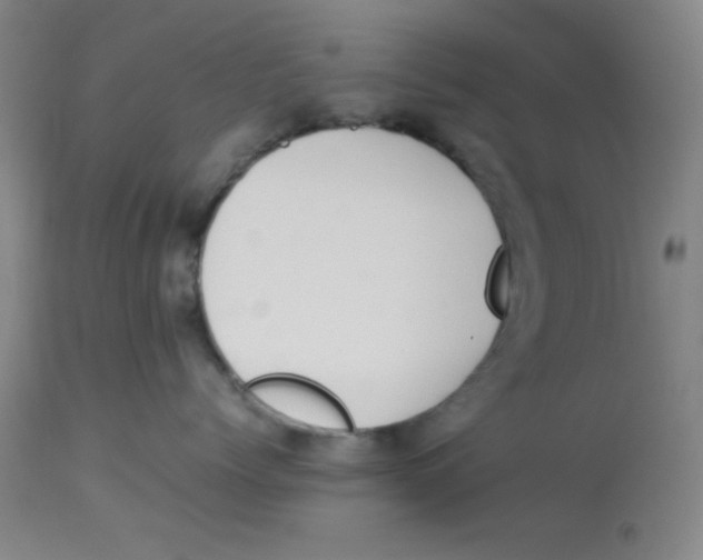 X0000112870768200909181824