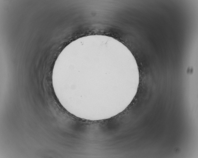 X0000112870769200909181823