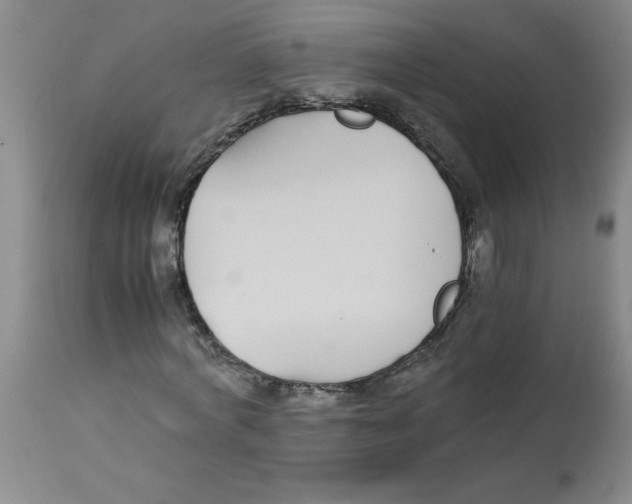 X0000112870772200909181823