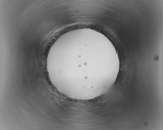 X0000112870773200909181823