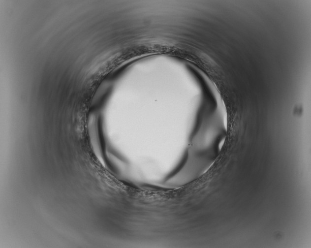 X0000112870774200909181823