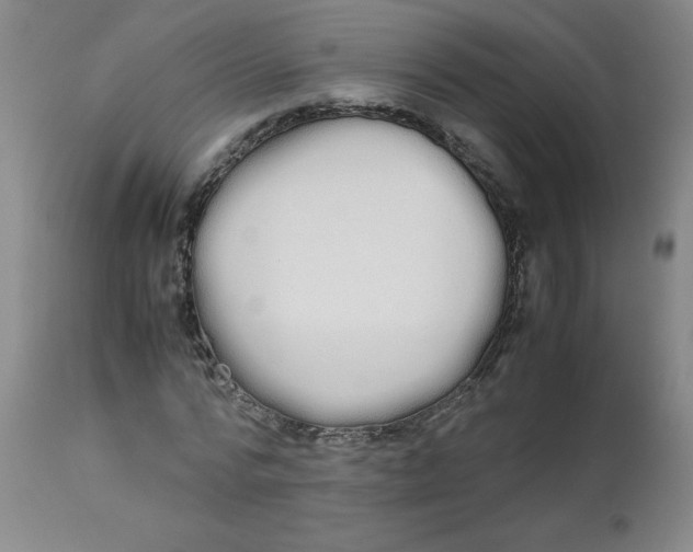 X0000112870776200909181823