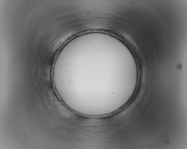 X0000112870777200909181823